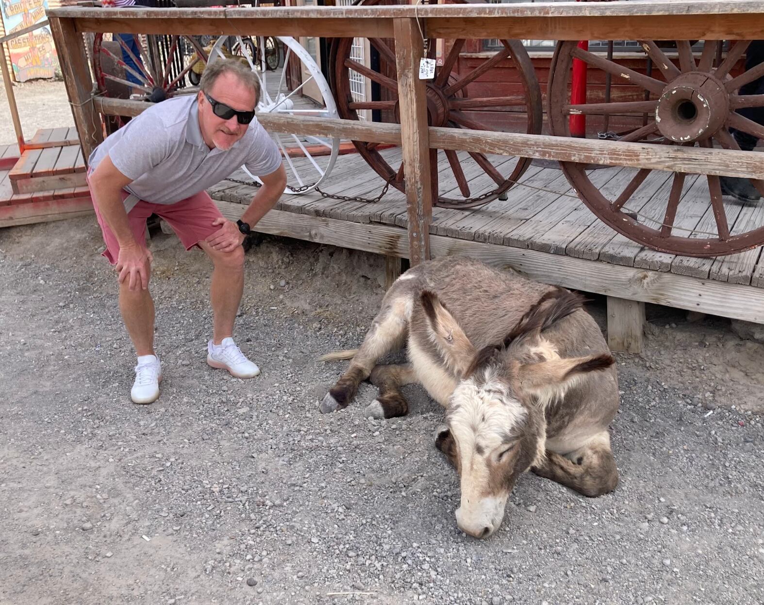 Slocum poses with a sleeping burro in Oatman, AZ.