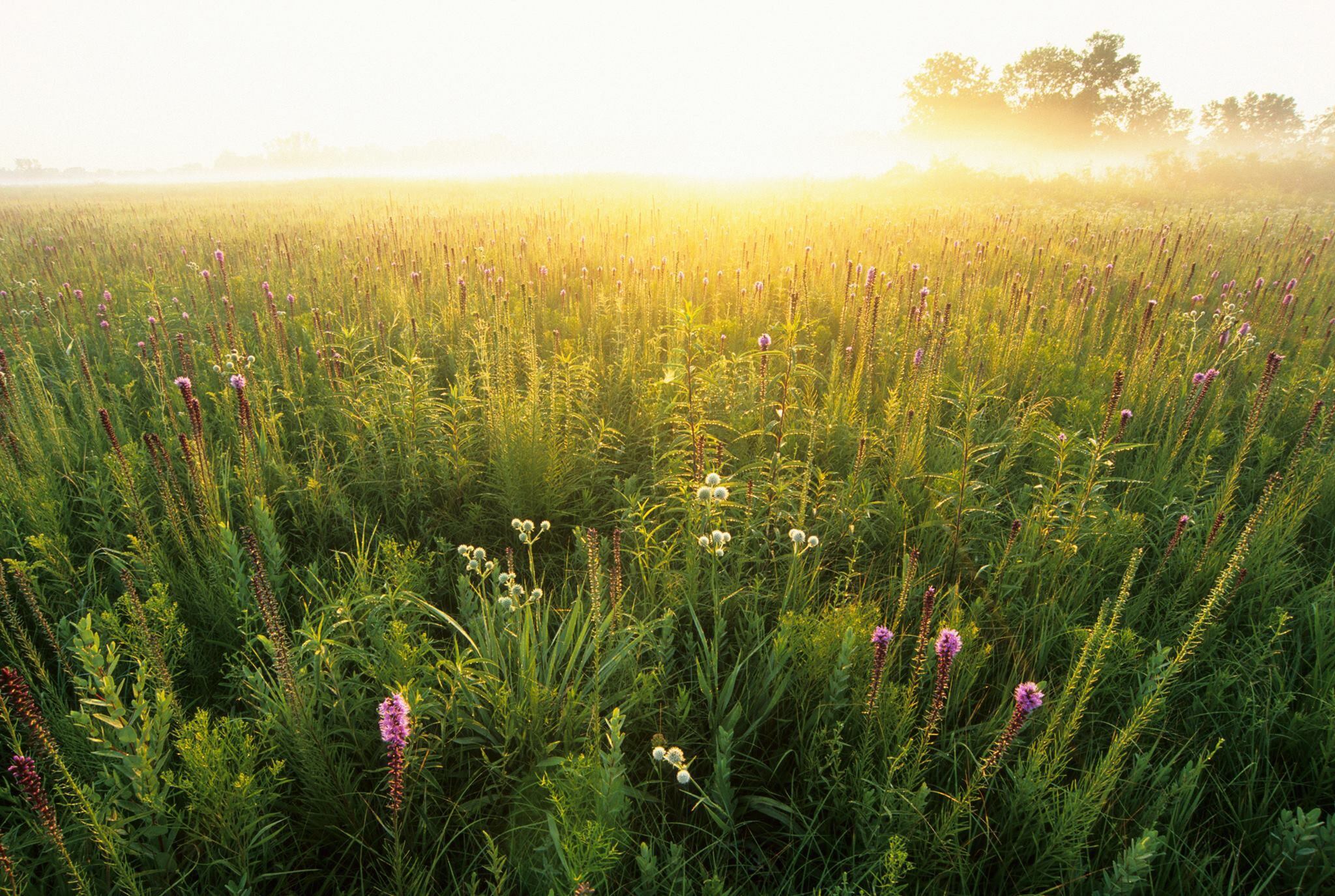 Provided by Heritage Corridor Destinations