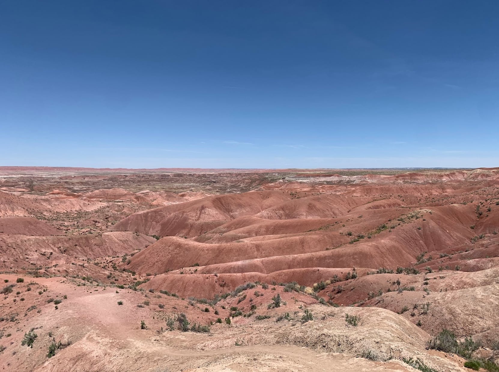 A view of the sprawling Petrified Forest National Park